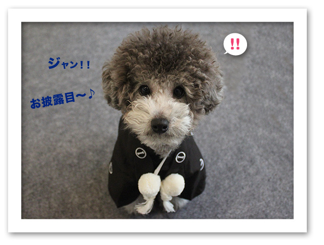 年賀状の写真撮ったよ〜！