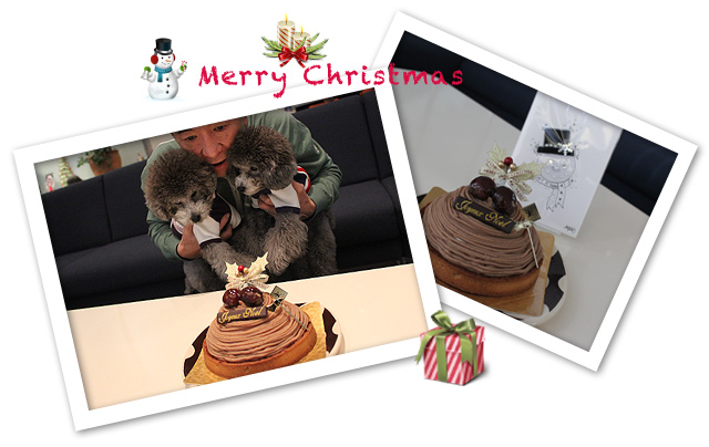 Merry Christmas !!