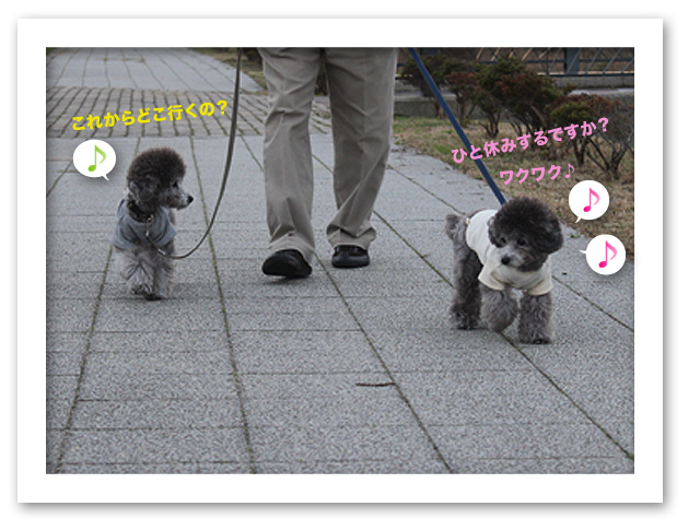 ぼくの場所だよ