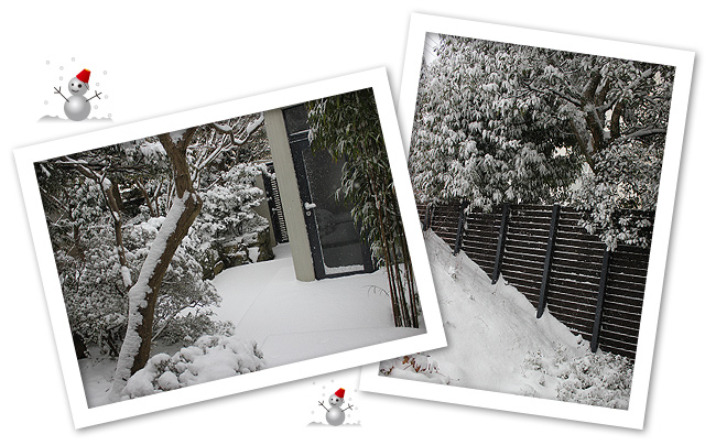 大雪！！　すごかったね