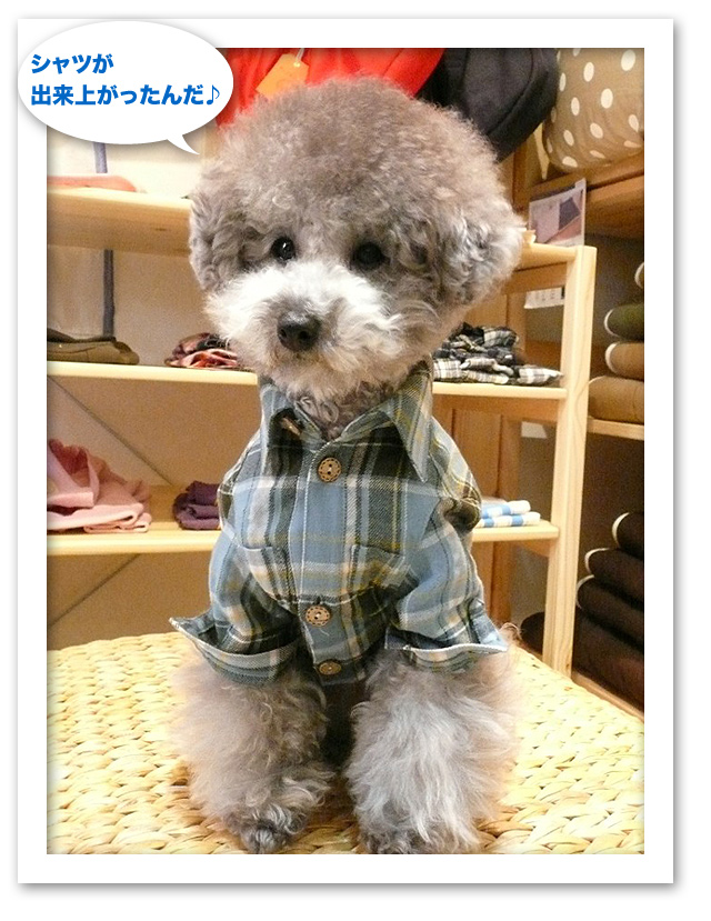 お洋服買ってもらったよ