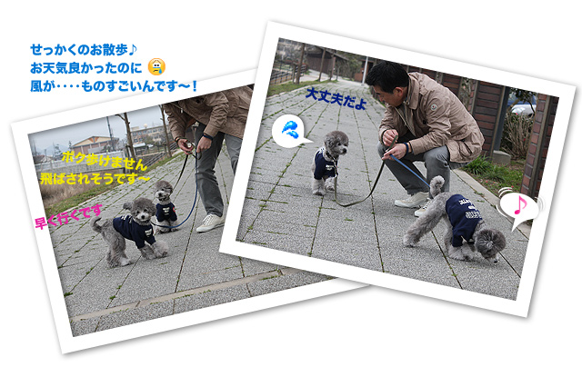 風にも負けず♪