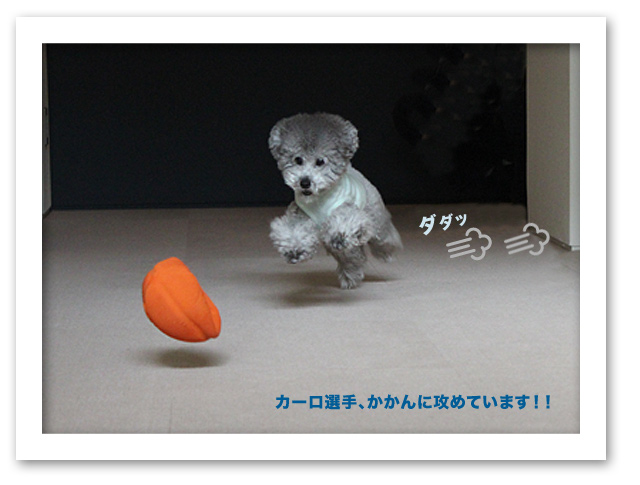 試合‥‥後半戦！！