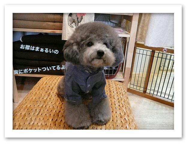 可愛いでしょっ♪