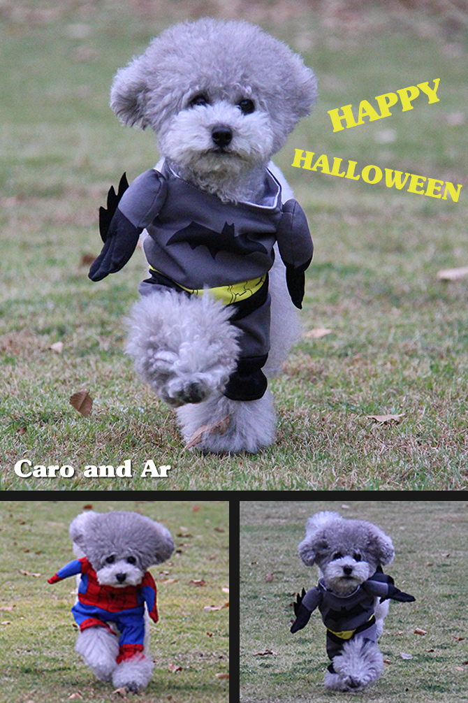 HAPPY HALLOWEEN ♪♪