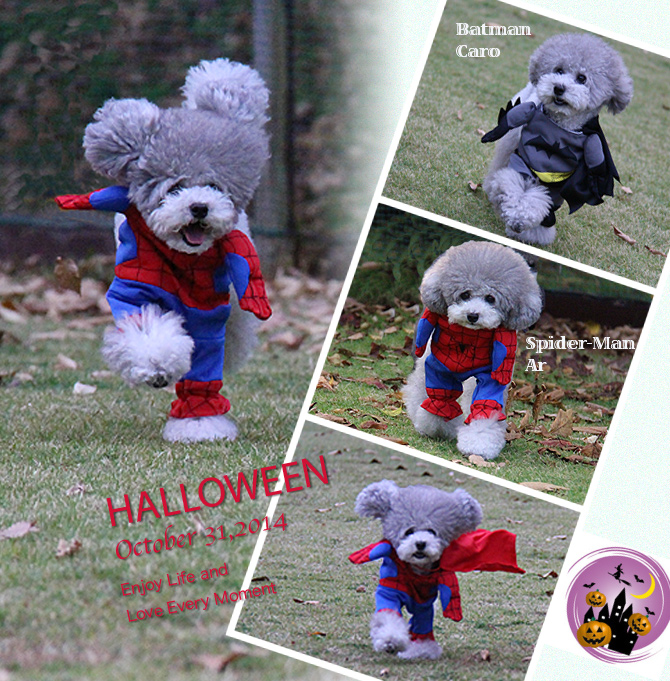 HALLOWEEN ♪♪