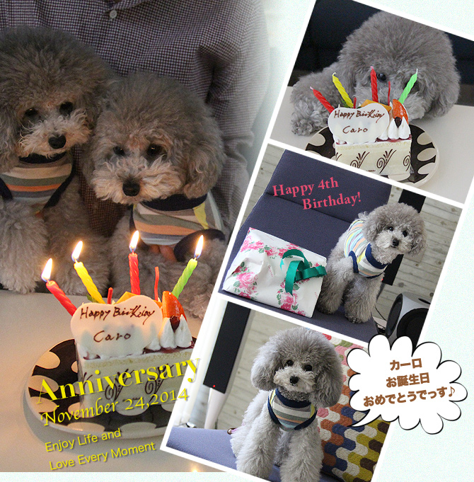 カーロ、お誕生日おめでとう！