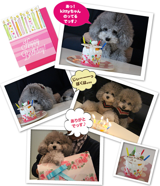 アル、お誕生日おめでとう♪
