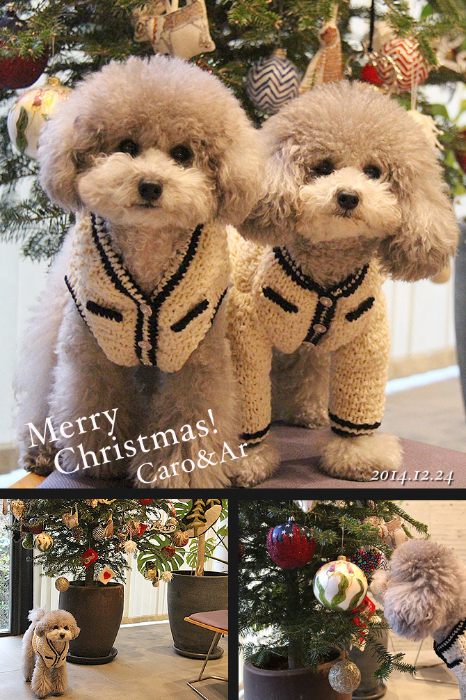 Jingle bells,jingle bells ♪♪