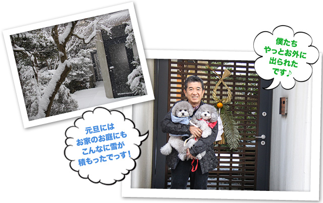 いざ！！・・・初詣へ
