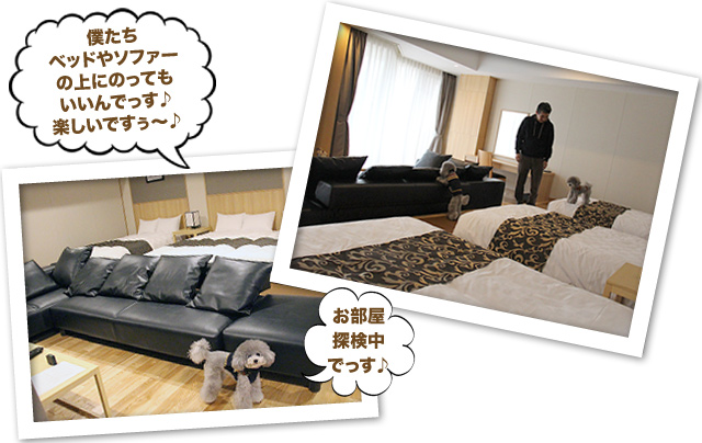 ビワドッグ ♪・・・②