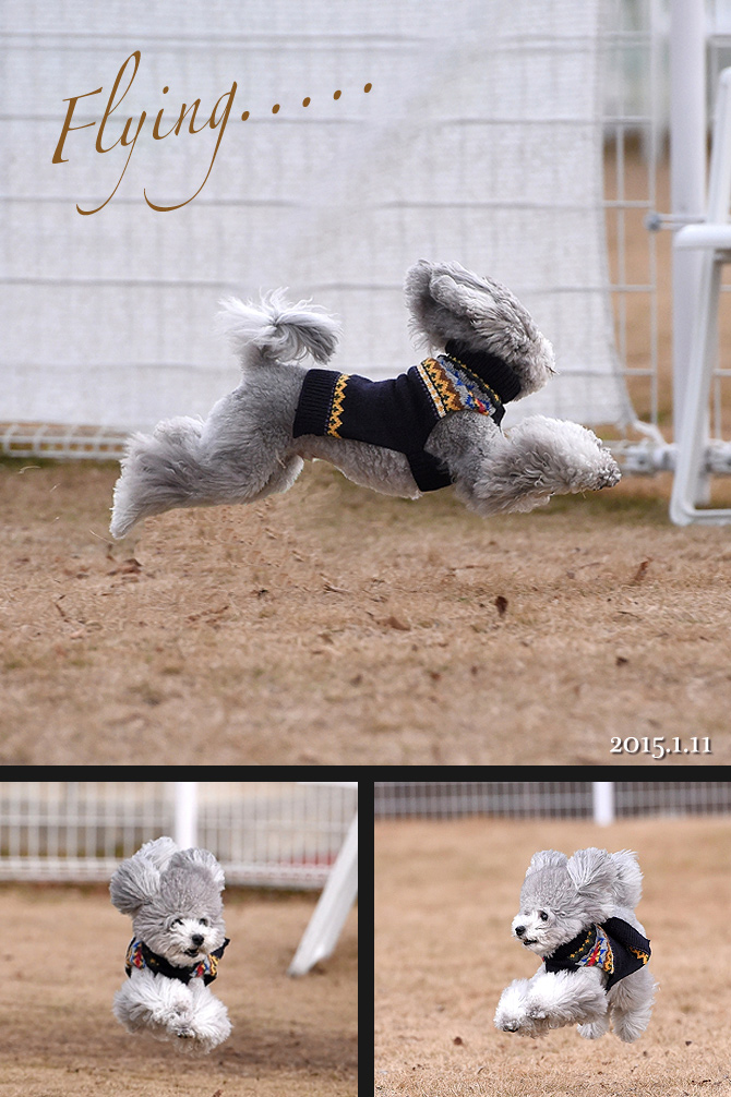 飛びます！飛びます！飛びま〜す！！