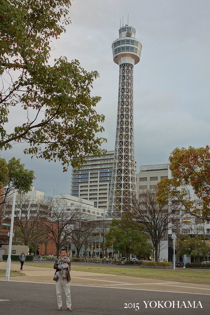 横浜の旅・・・その①