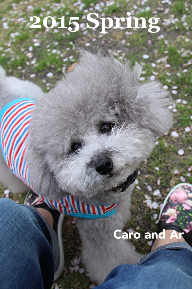 ドッグランがピンク色に ♪