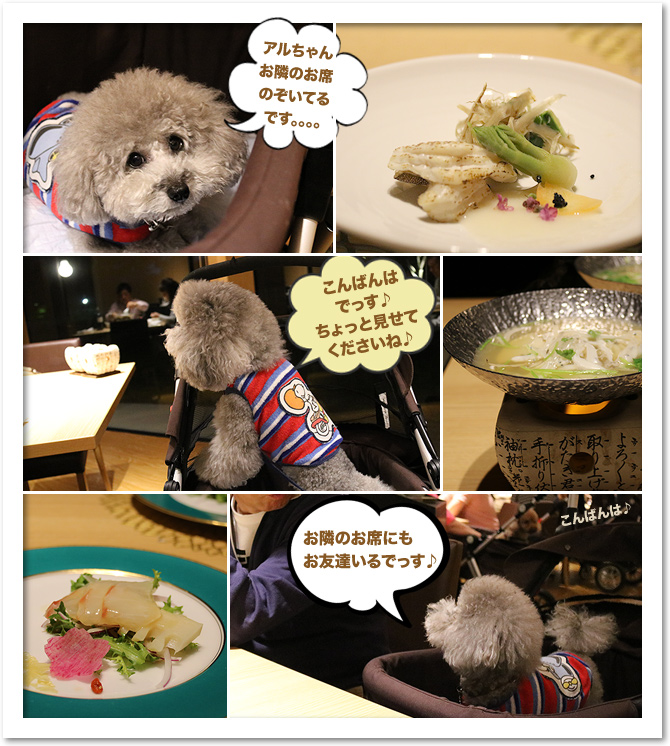 ビワドッグ ♪・・・Dinner