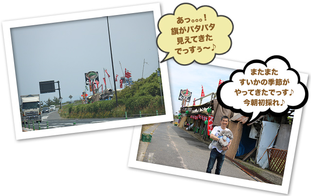 5月24日・・・今年初だよ！