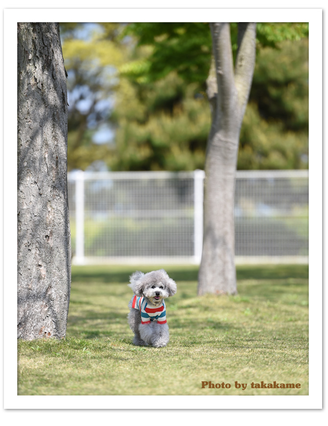 お写真届いたよぉ〜♪