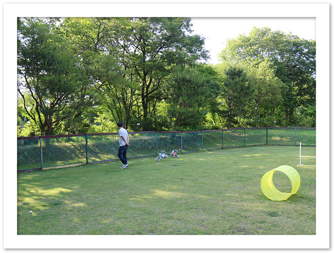 run! run! run!・・・つづき♪