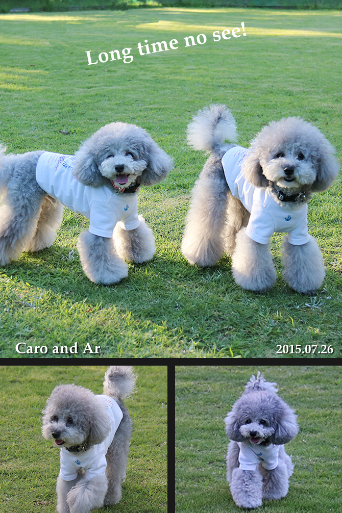 お久しぶりでっす♪