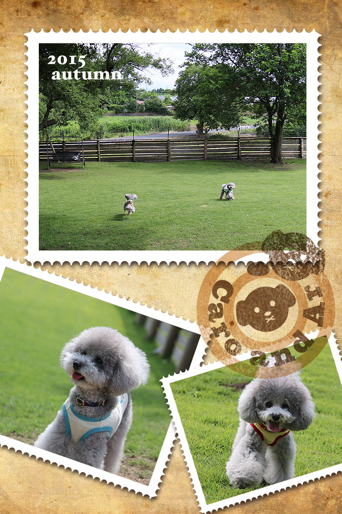 こんにちはです♪