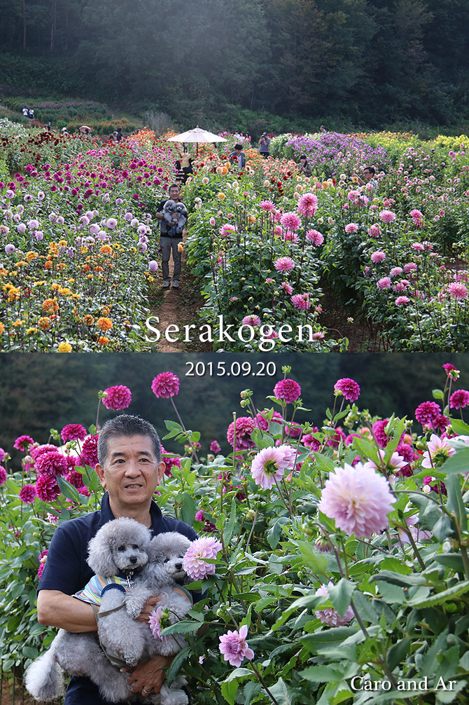 僕たちのシルバーウィーク♪