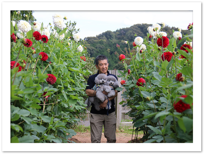 世羅高原農場♪