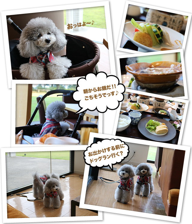 ビワドッグ ♪・・・二日目