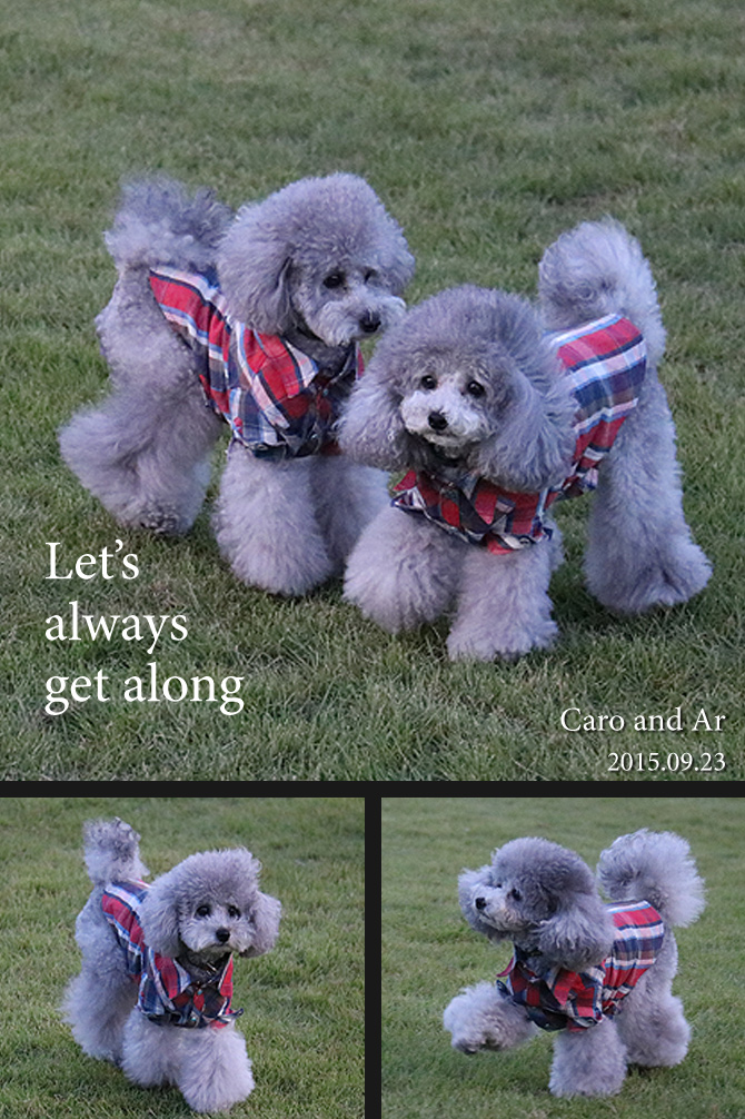 ビワドッグ ♪・・・二日目つづき