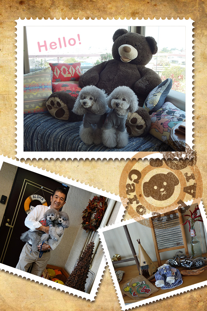 東京の旅・・・Shopping