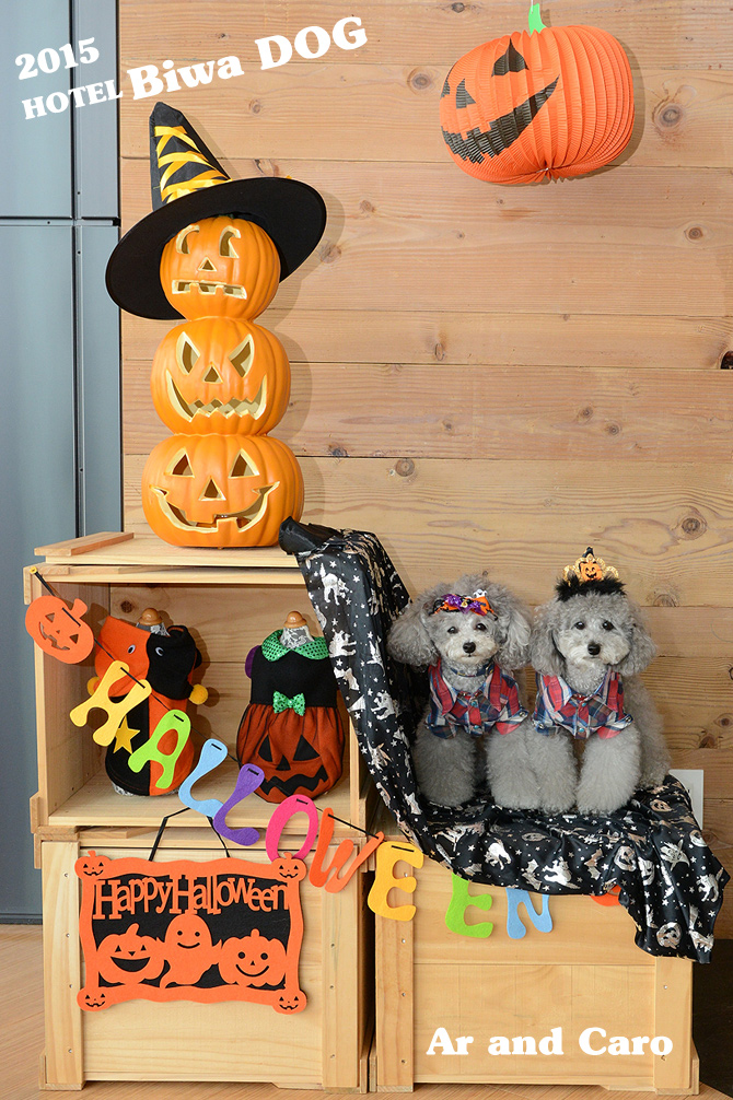 ハロウィーン♪