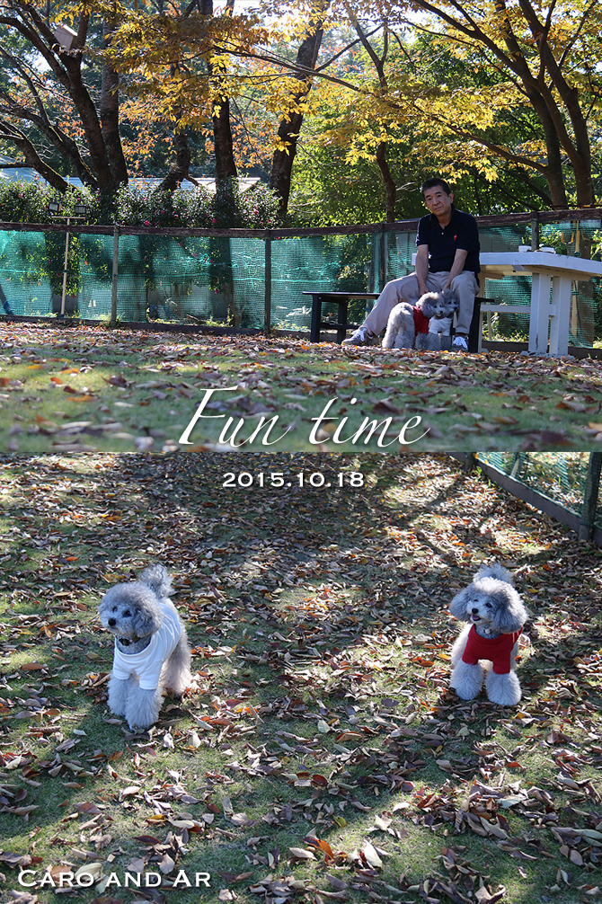 モリモリ遊ぶよ♪