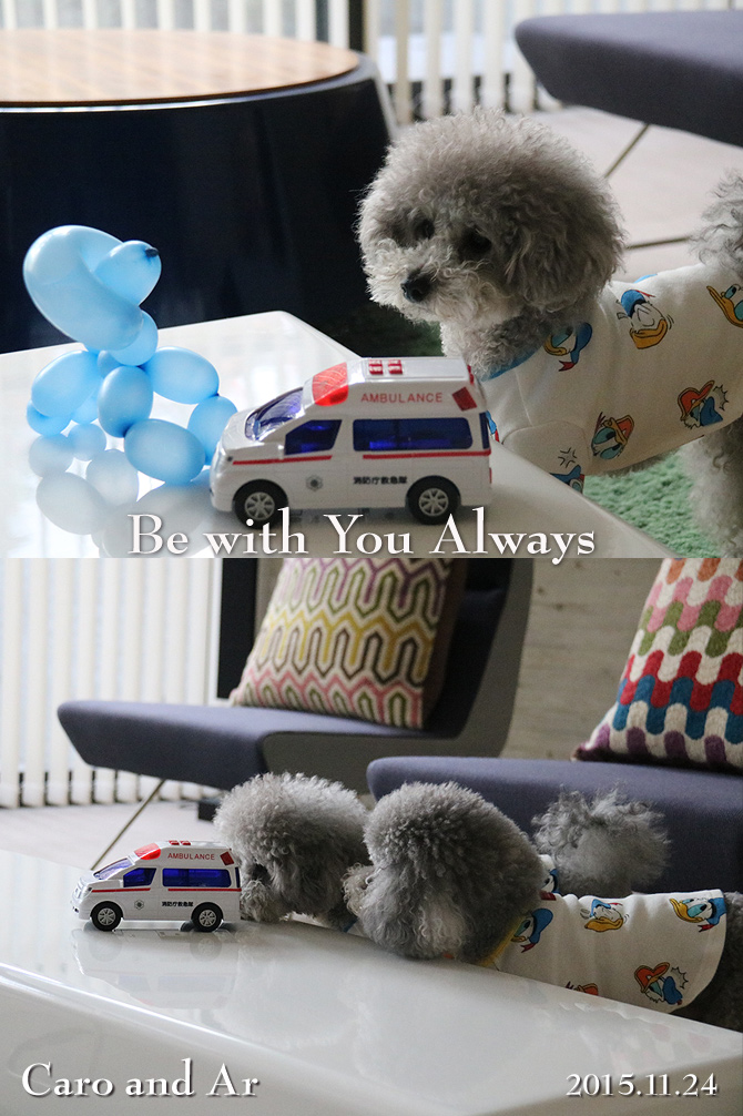 お誕生日プレゼント♪