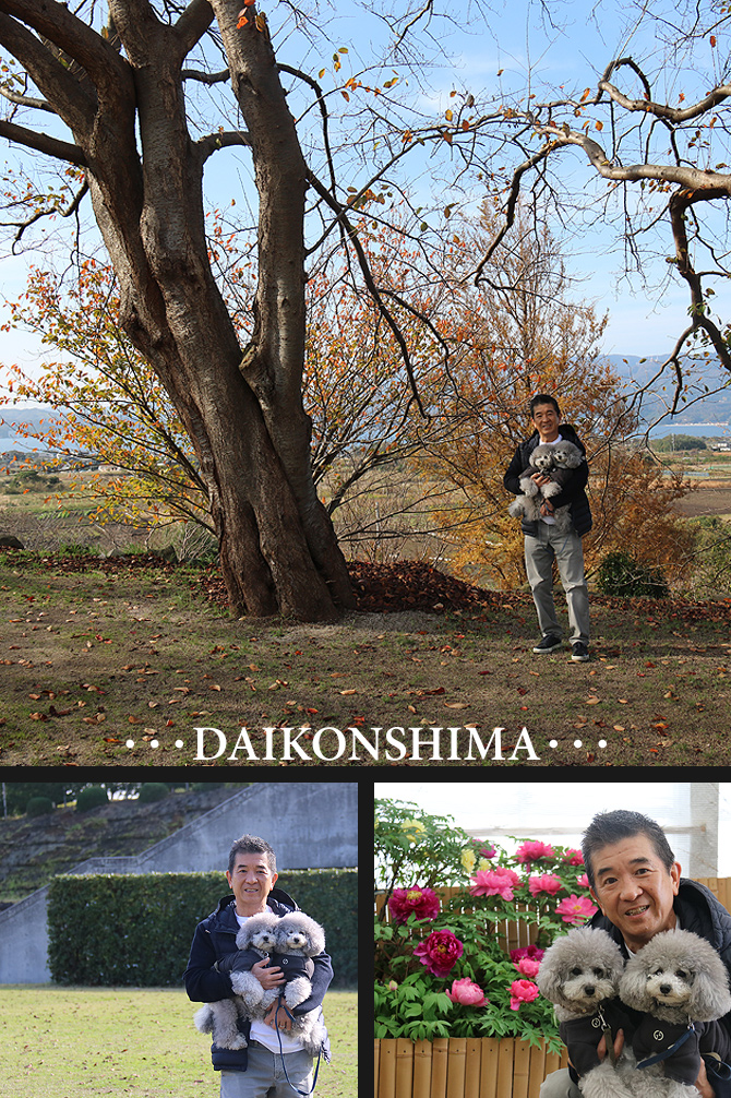 大根島に行って来たです♪