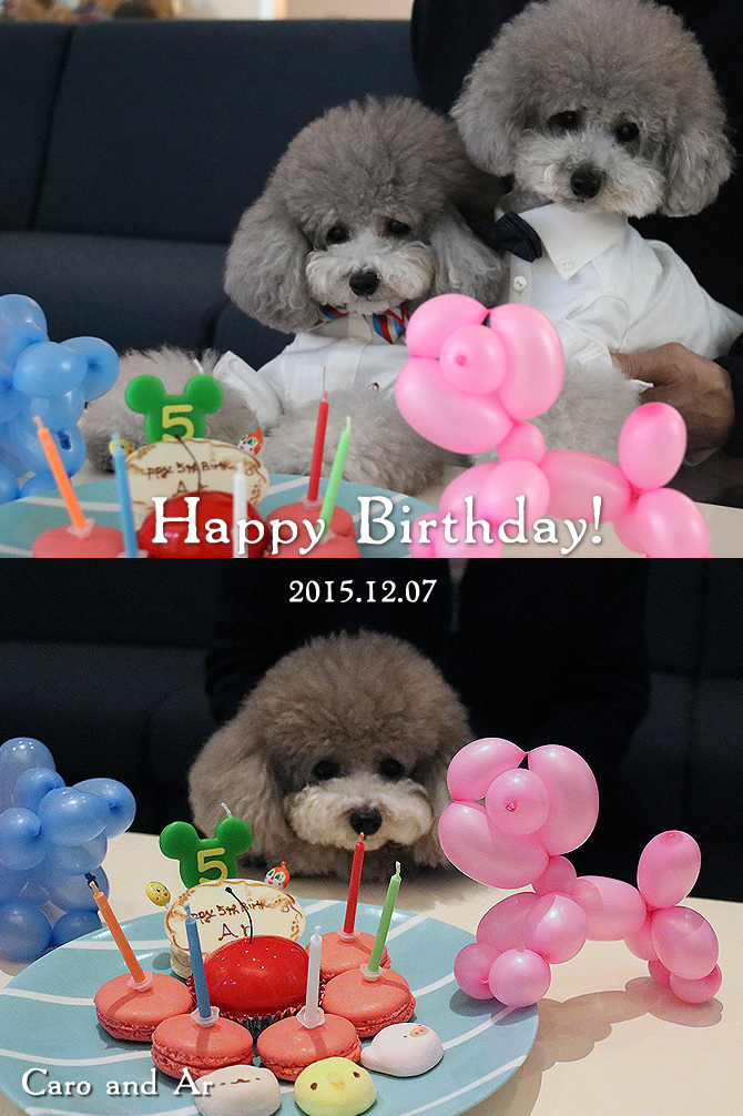 アル、お誕生日おめでとう♪