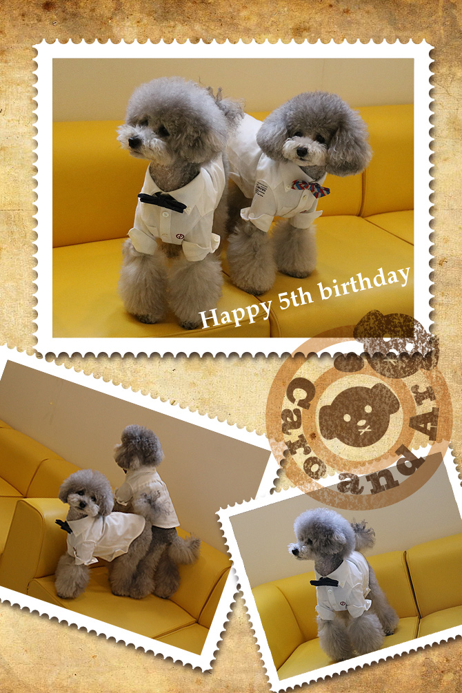 お誕生日のお写真撮ってもらったよ〜♫