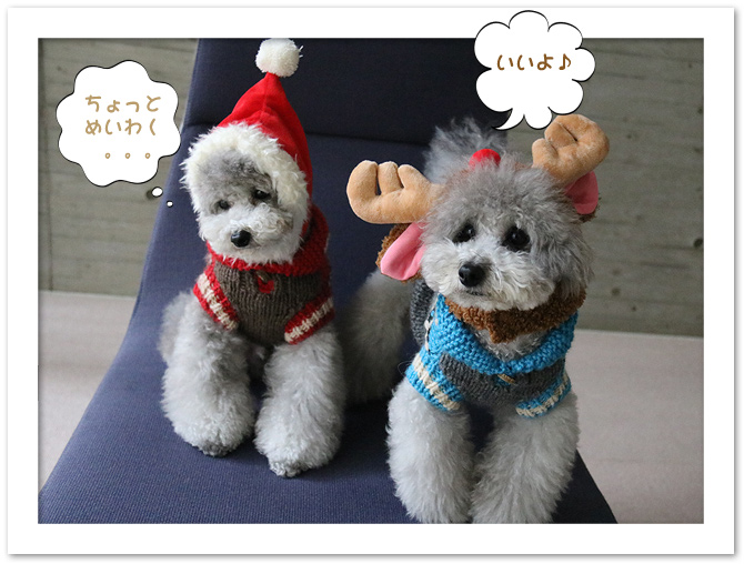 ☆Merry Christmas☆