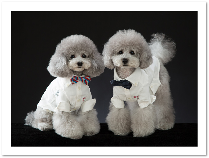 お写真出来上がりました♪