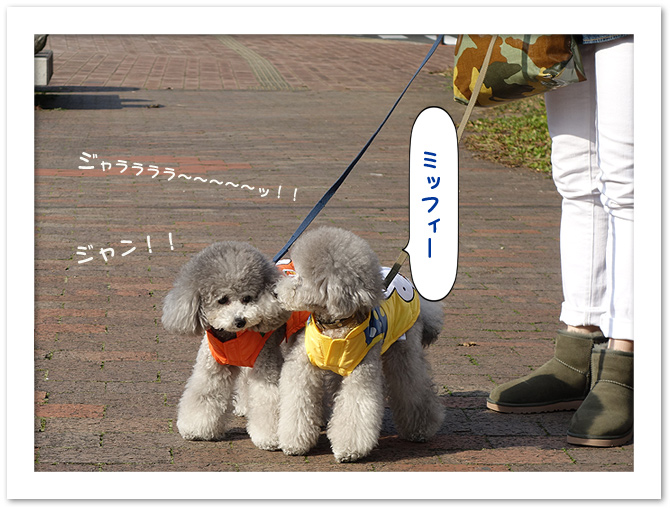 ハウステンボスで買ってもらったのは。。。♪