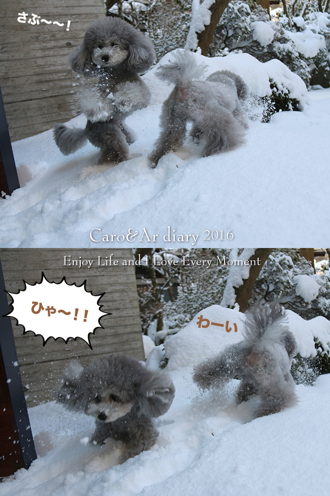 大寒波きたぁ〜！！