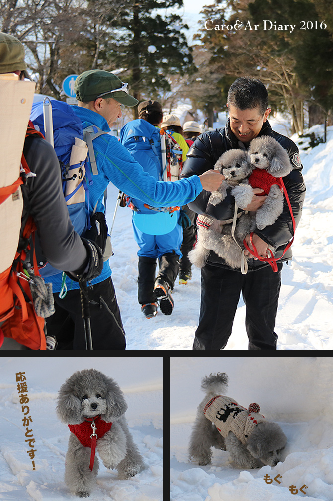 登ってきたです・・・ちょっとだけ♪