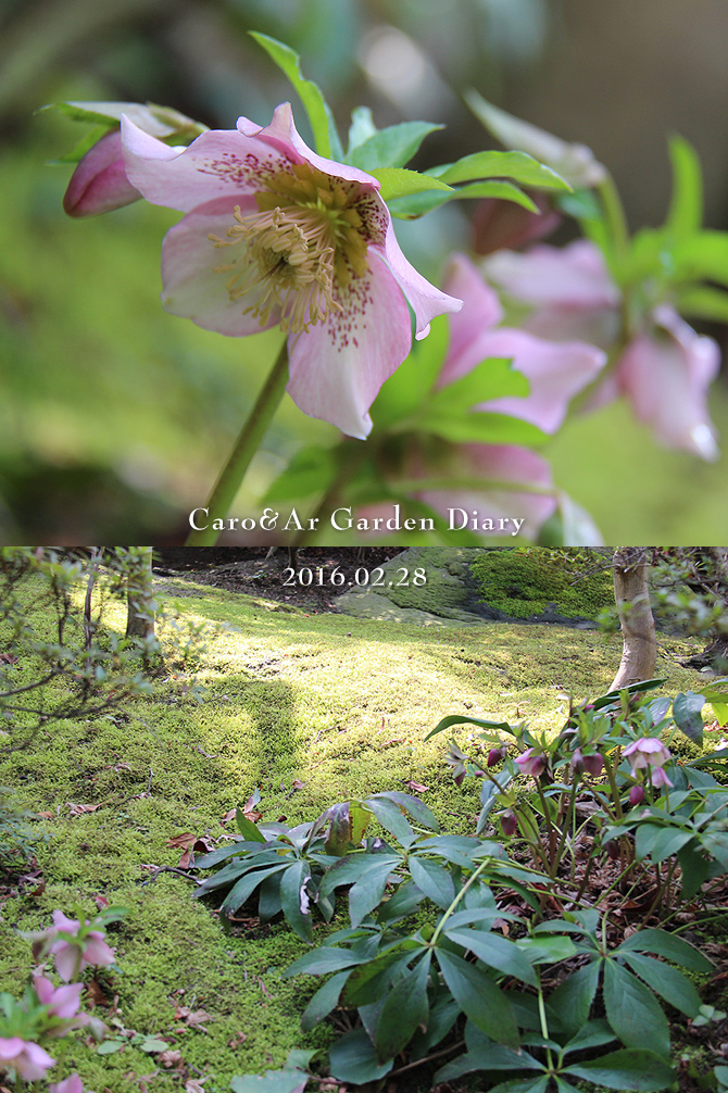 春み〜つけた♪