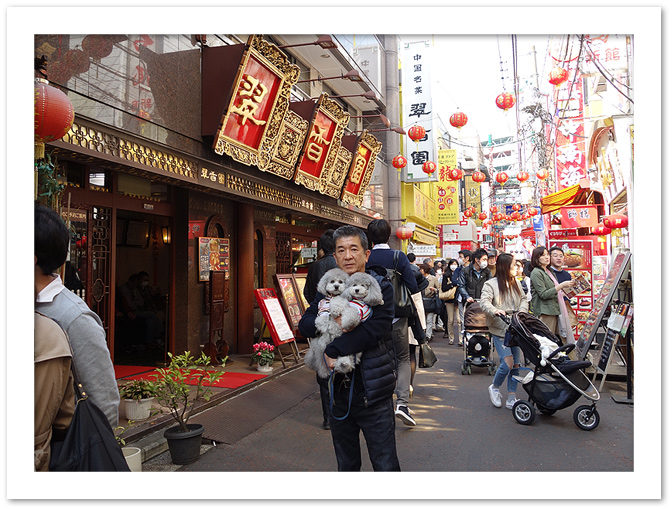 横浜の旅・・・その①