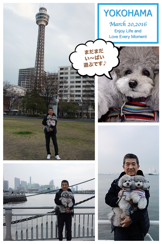 横浜の旅・・・その②