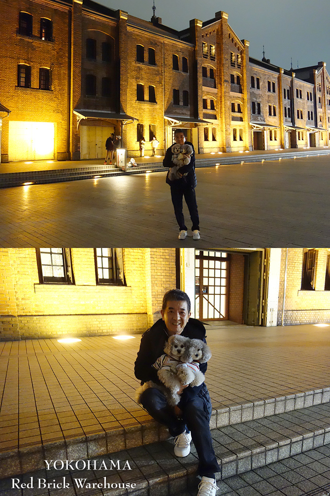 横浜の旅・・・その③