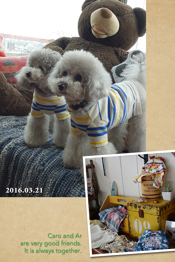 東京の旅・・・Shopping