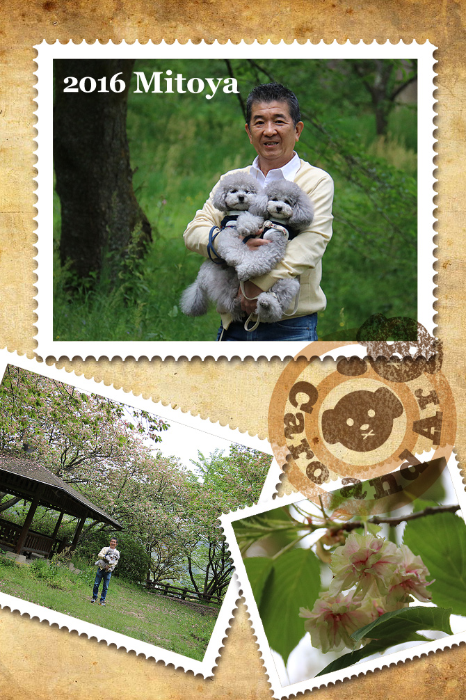 GW前半・・・始まるちょっとその前に♪