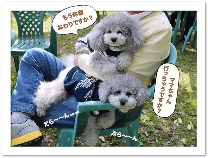 世羅高原農場♪・・・つづき