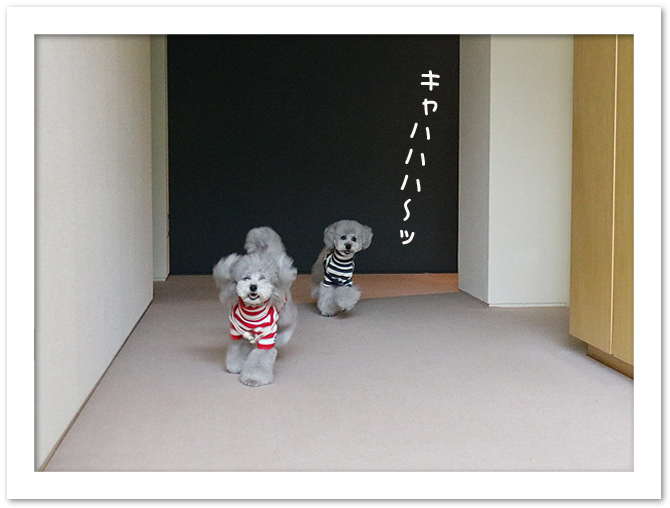 僕たちのGW♪・・・①