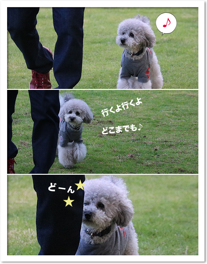 「船上山」の帰り道♪