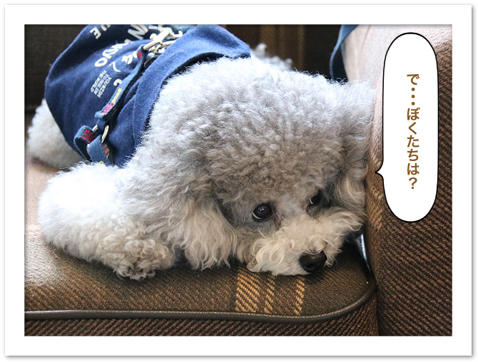 ビワドッグ ♪・・・2日目